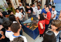 Alunos em atividade na Semana Nacional e Municipal de Ciência e Tecnologia  Campinas/2014 - Crédito: Carlos Bassan